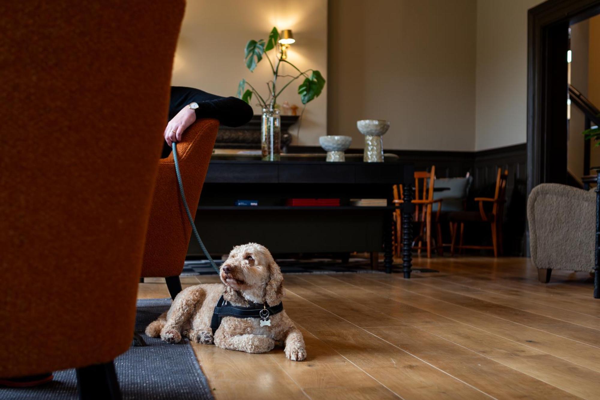 New Park Manor Hotel - A Luxury Family Hotel Brockenhurst Dış mekan fotoğraf